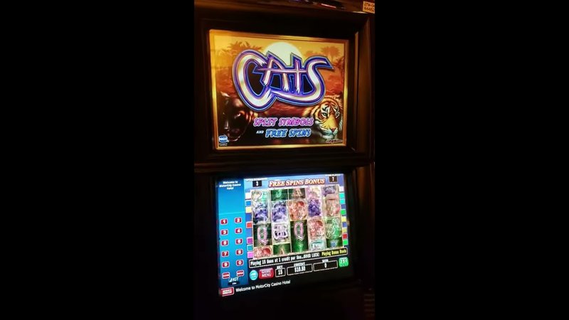 Entdecken Sie die Vorteile von Catspins in Deutschland: Echtgeld Bonus, catspins Kundenservice